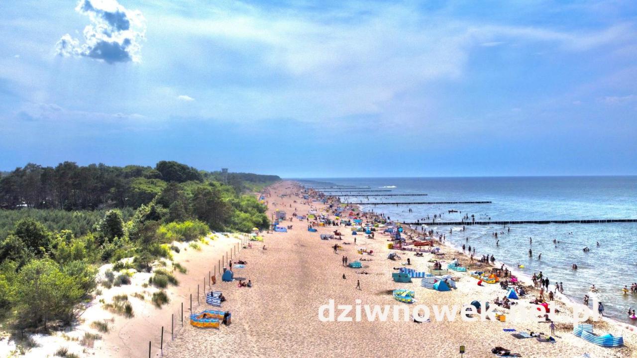 Sofia Daire Dziwnówek Dış mekan fotoğraf